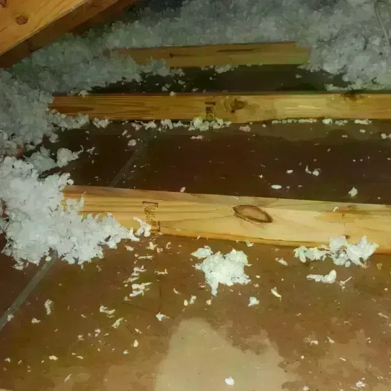 Attic Water Damage in Crest Hill, IL