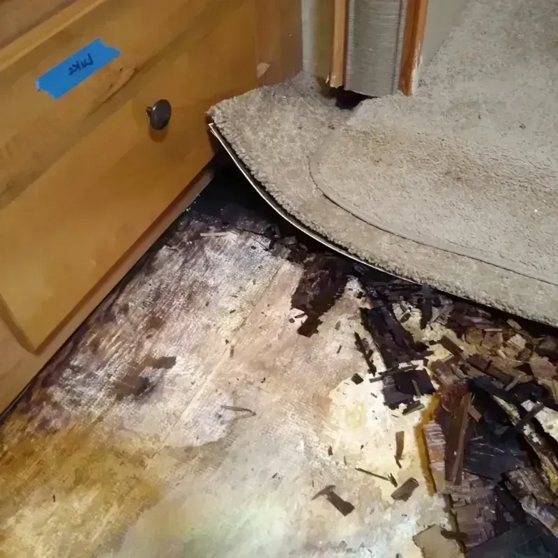 Wood Floor Water Damage in Crest Hill, IL